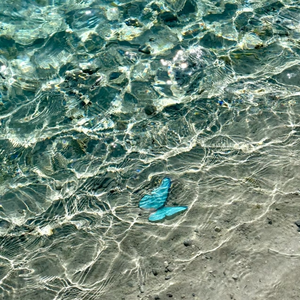 找个老淑女泻火视频
