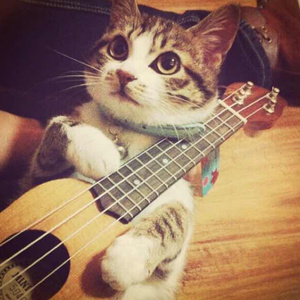 找个老淑女泻火视频
